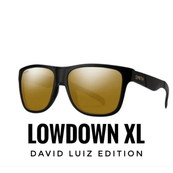 Nwt smith optics Lowdown XL styles